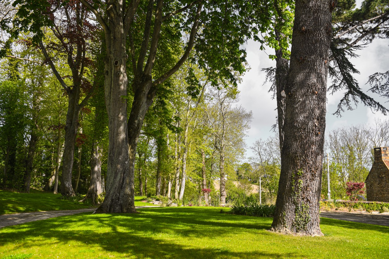 Le parc et ses hêtres centenaires