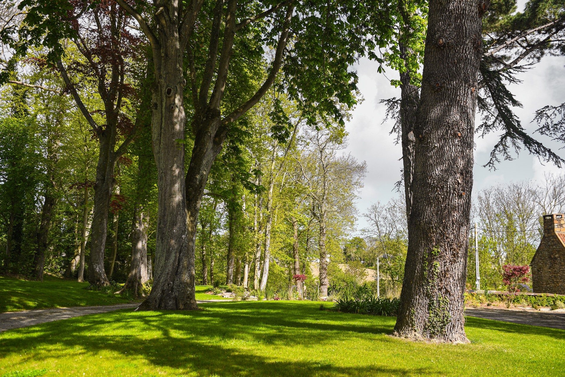 Le parc du manoir et ses hêtres centenaires